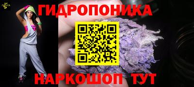 mdpv Краснознаменск