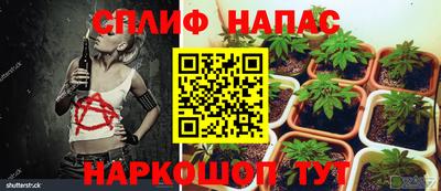 ГАЛЛЮЦИНОГЕННЫЕ ГРИБЫ Коммунар
