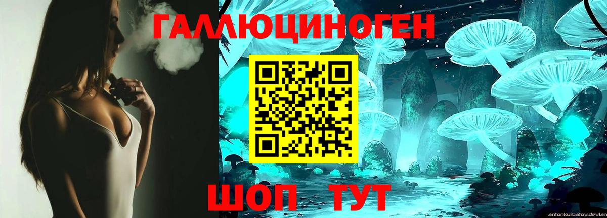 Котовск  Псилоцибиновые грибы Magic Shrooms  Вход с VPN 